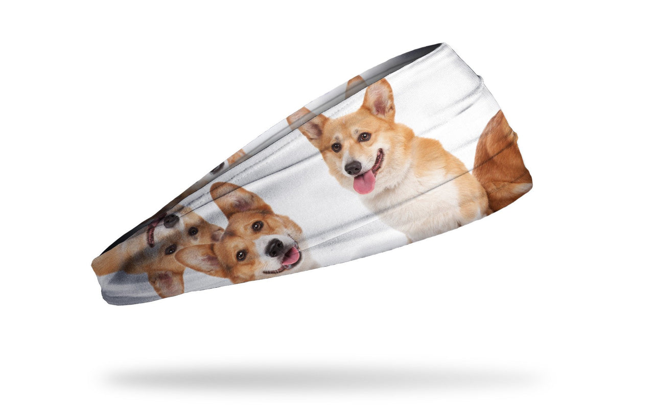 Corgistan Big Bang Lite Headband
