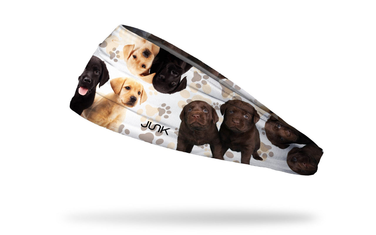 Puppy Sundae Big Bang Lite Headband