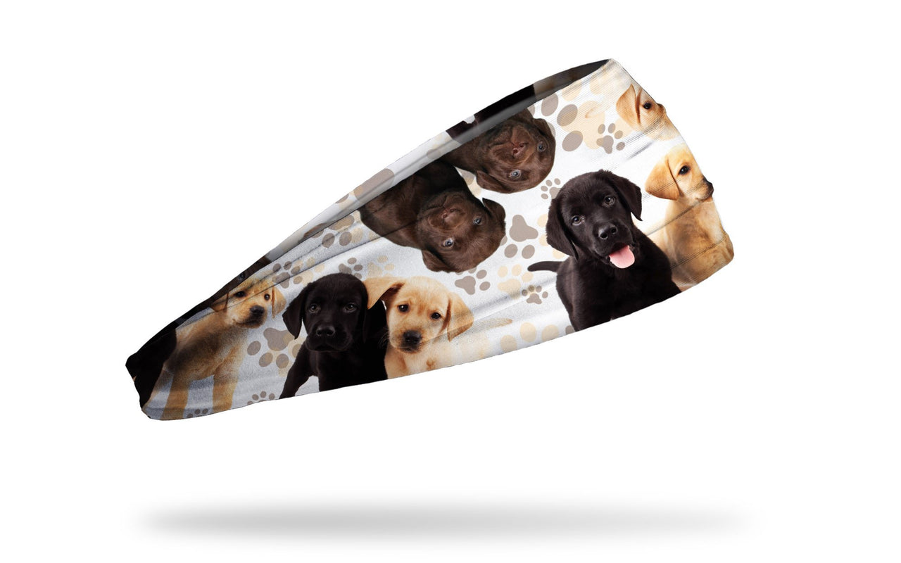 Puppy Sundae Big Bang Lite Headband