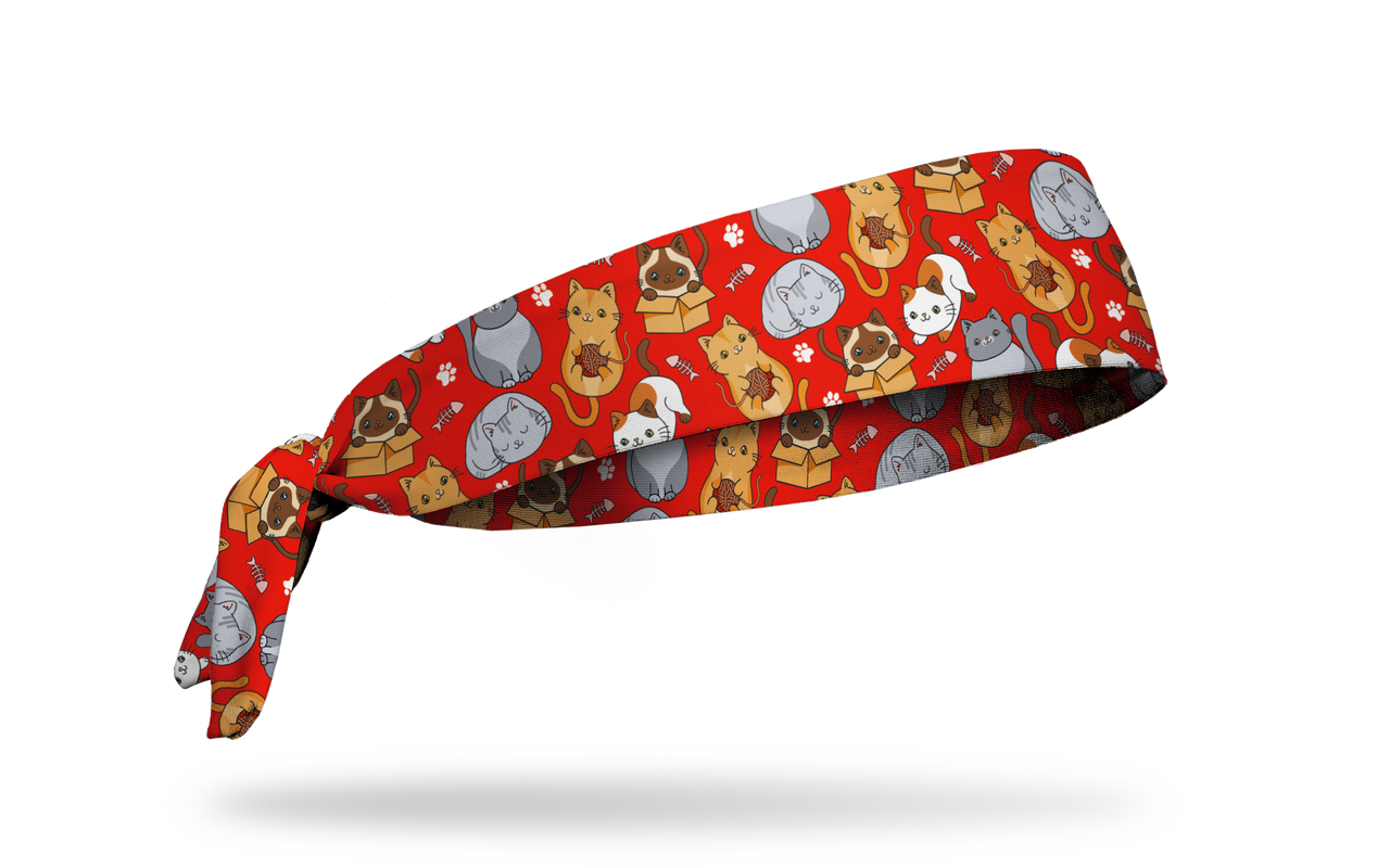 Kitty Cats Flex Tie Headband