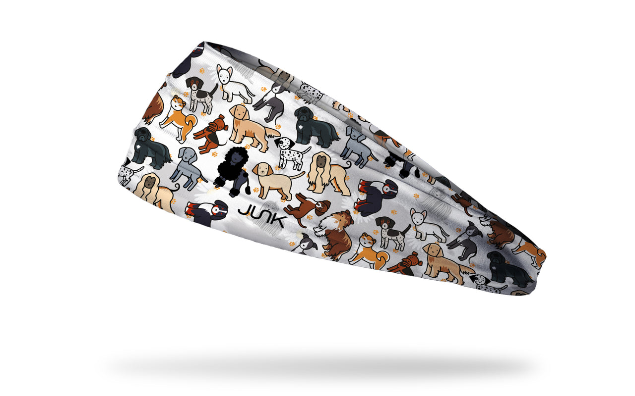 Puppy Pandemonium Big Bang Lite Headband