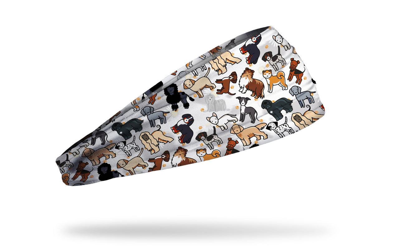 Puppy Pandemonium Big Bang Lite Headband