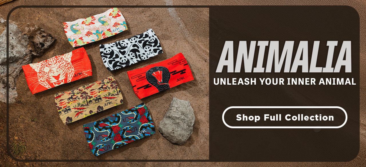 邦楽 JUNK LAND mqdefault.jpg