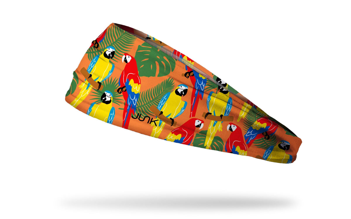 Bird Shirts Big Bang Lite Headband