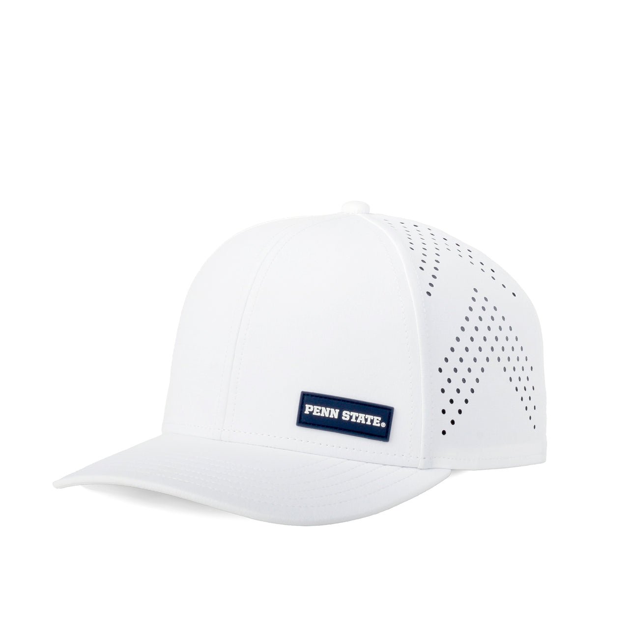Penn State University: Surge Hat Arctic Snow