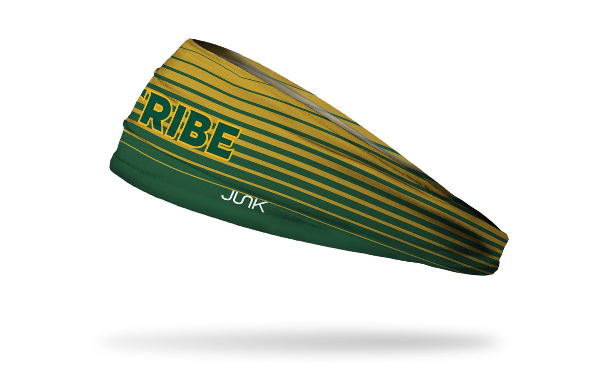 College of William & Mary: Logo Gradient Stripe Big Bang Lite Headband - View 1