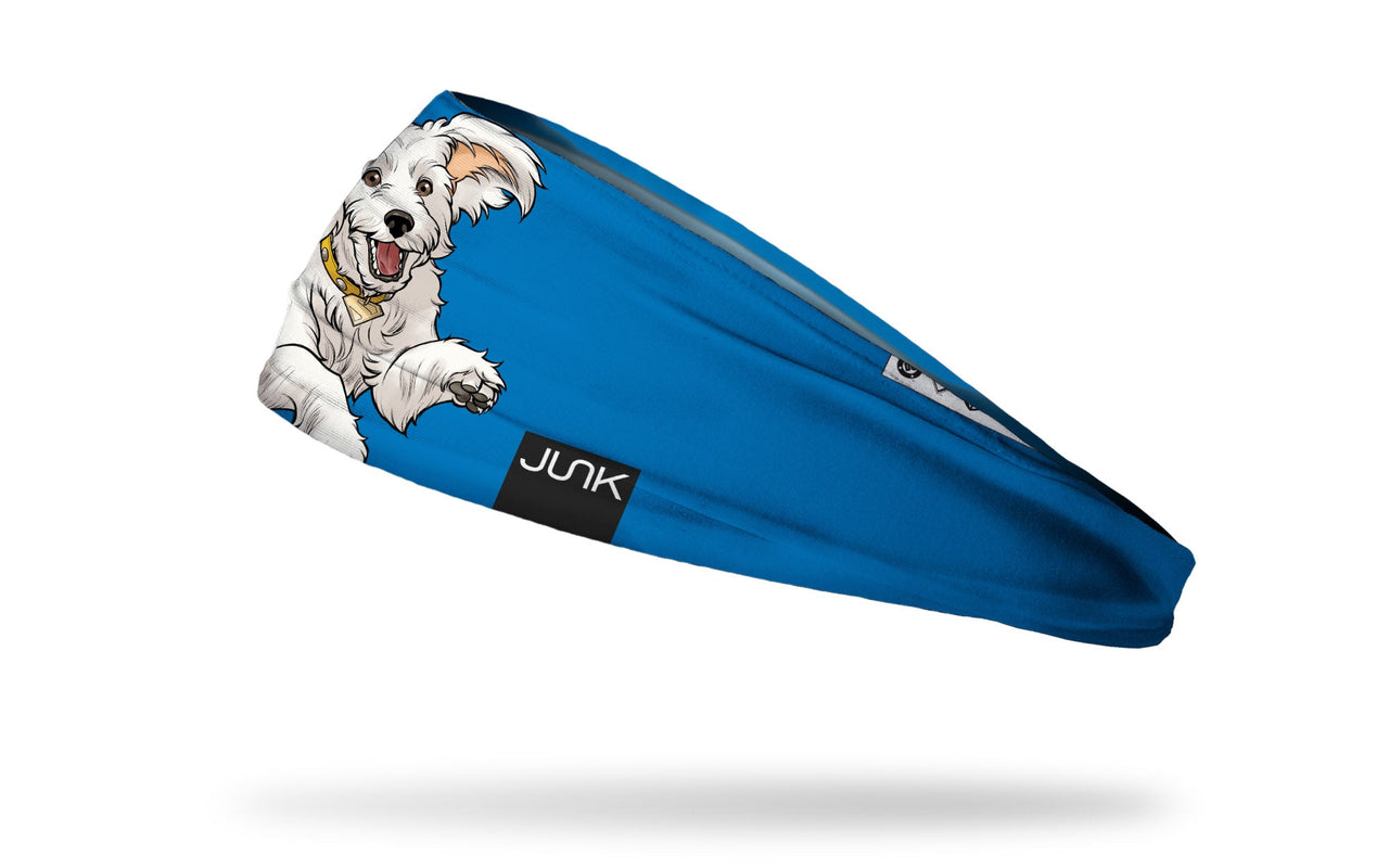 Superman: Krypto Dog Big Bang Lite Headband