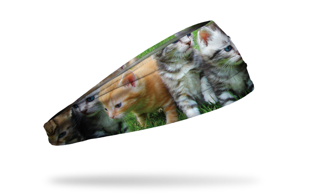 Feline Fever Headband